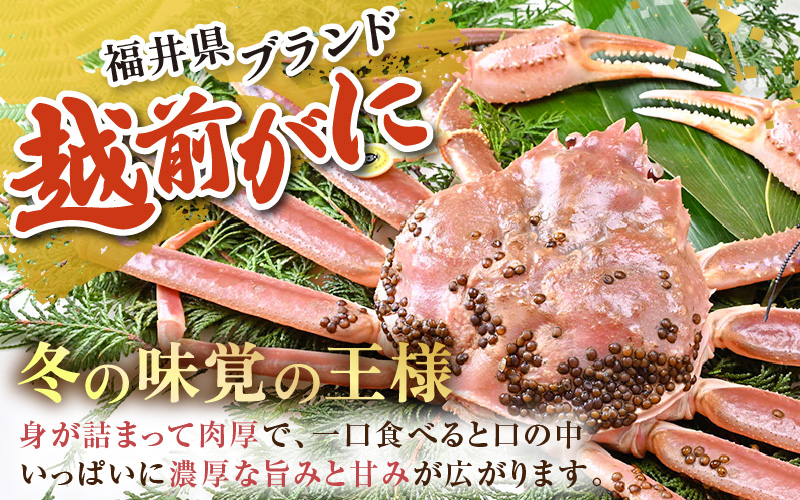 【先行予約】【2月発送限定】茹で越前がに 1杯 1.1kg～1.3kg《新鮮！茹でたてを発送》／ 高級 福井 ブランド ズワイガニ 黄色タグ ボイル 冷蔵 蟹 カニ 期間限定 【最終受付2月25日まで】※2026年2月上旬～2026年2月下旬で発送 [aw002-x004_02]