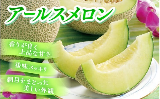【先行予約】メロンの王様！アールスメロン 2玉入 2～3L 〈贈答用にも最適な最高級メロン〉／ 期間限定 果物 フルーツ 高級メロン マスクメロン 青肉 産地直送 ※2026年7月中旬より順次発送 [aw003-a011]
