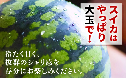 【先行予約】大玉スイカ「夏の天使」 1玉入 （L～2L ）抜群の糖度で甘い！／ 期間限定 果物 フルーツ 西瓜 産地直送 ※2026年7月中旬より順次発送 [aw003-a002]