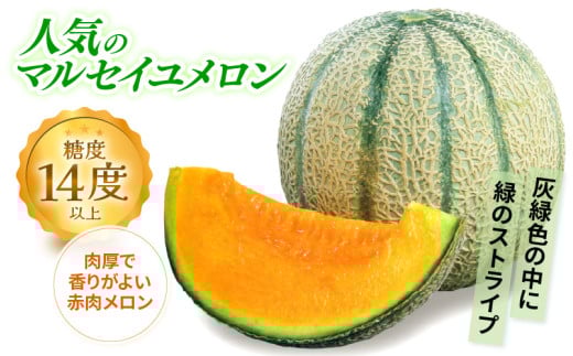 【先行予約】マルセイユメロン 2玉入 4Lサイズ ※2026年6月中旬より順次発送 [aw003-a007]