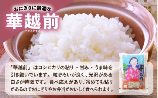 【令和7年産】福井のお米 食べ比べセット 2kg×3種 計6kg ／ 福井県産 ブランド米 ハナエチゼン コシヒカリ いちほまれ 精米 白米 食べ比べ [aw003-b002]