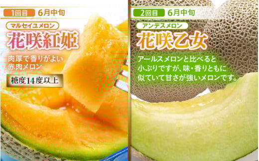 【先行予約】《全7回》あわら大満足 7種 フルーツ定期便 《あわらの旬が満載！》／ 果物 旬 食べ比べ 贈り物 定期便 マルセイユ アンデス アールス 大玉スイカ 梨 柿 ※2026年6月中旬以降順次発送 [aw003-j001]