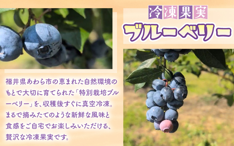 【訳あり】冷凍果実 福井県あわら市産 生食用ブルーベリー 真空冷凍 400g [aw007-a008]