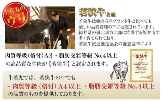 【定期便 全12回】特上！若狭牛サーロインステーキ 200g×2枚 ／ ステーキ ステーキ肉 A4 A5 200g サーロイン サーロインステーキ 国産 若狭牛 牛肉 [aw009-p001]