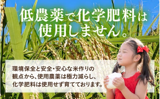 【令和7年産】化学肥料不使用あきさかり 精米 5kg（5kg×1袋） / 白米 米 福井県あわら市産 美味しい 特別栽培米 減農薬 安心な米 旨味 甘み もっちり 冷蔵保管米 [aw010-a024]