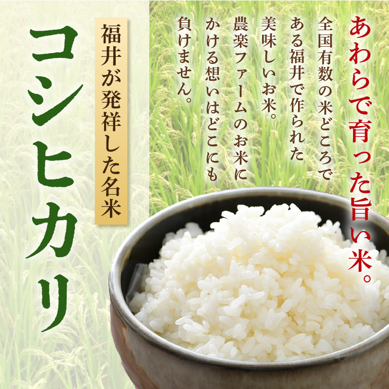 【先行予約】【令和8年産・新米】【一等米】《定期便3回》いっちょらい 精米 5kg × 3回（計15kg）／ 福井県産 ブランド米 コシヒカリ ご飯 白米 新鮮 大賞 受賞 新米 福井県あわら産 ※2026年10月上旬以降順次発送予定 [aw012-c009]