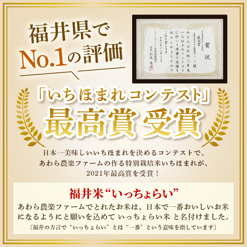 【令和7年産・新米】【一等米】 ＜定期便12回＞ ハナエチゼン 精米 10kg × 12回（120kg）《発送直前精米！》 ／ 福井県産 ブランド米 ご飯 白米 お米 コメ 新鮮 大賞 受賞 新米 [aw012-o004]