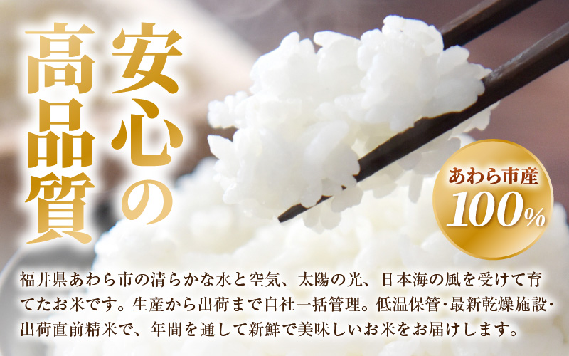 【令和7年産・新米】定期便 ≪12ヶ月連続お届け≫ あきさかり 精米 10kg × 12回（計120kg） ／ 福井県産 ブランド米 ご飯 白米 お米 コメ 新鮮 新米 [aw012-o007]