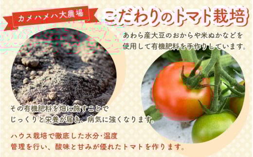 100％完熟トマトジュース 300ml×4本 《朝食に休息時間におすすめ》 [aw018-a001]