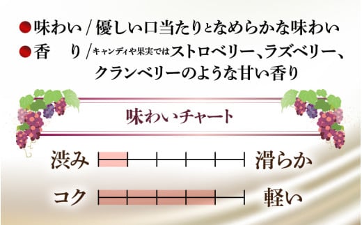 【福井県あわら市産】ふくいワイン【赤】 1本 / ワイン ワイナリー 赤ワイン ライトボディ ぶどう 葡萄 ふくいワイン ブランド フルーティー なめらか 人気 おすすめ プレゼント 贈り物 福井県 あわら市 [aw023-a003]