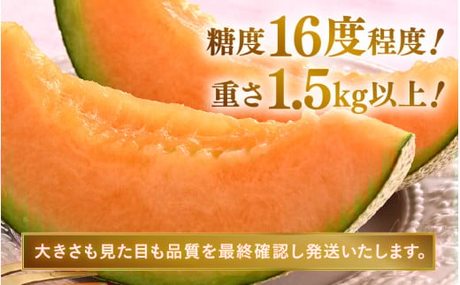 【先行予約】赤肉パリスメロン 秀品 1玉（1.5kg以上）【アールス系赤肉メロン】《糖度16度程度！1株1果採りで育てる高級メロン！》／ 果物 フルーツ 農家直送 赤肉 マスクメロン アールスメロン ギフト 贈答用 ※2026年7月上旬より順次発送予定 [aw028-a005]
