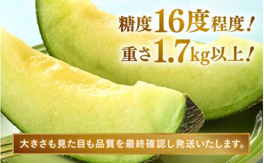 【先行予約】青肉ペルルメロン 秀品 1玉（1.7kg以上）【ネット系青肉メロン】《糖度16度程度！1株1果採りで育てる高級メロン！》／ 果物 フルーツ 農家直送 青肉 ネット系メロン ギフト 贈答用 ※2026年7月上旬より順次発送予定 [aw028-a006]