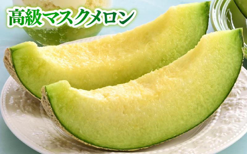 【先行予約】青肉アールスナイト 赤肉パリスメロン 秀品 各1玉（1.5kg以上×2玉）【アールス系メロン】《糖度16度程度！1株1果採りで育てる高級メロン！》／ 果物 フルーツ 農家直送 青肉 赤肉 セット マスクメロン アールスメロン ギフト 贈答用 ※2026年7月上旬より順次発送予定 [aw028-a013]