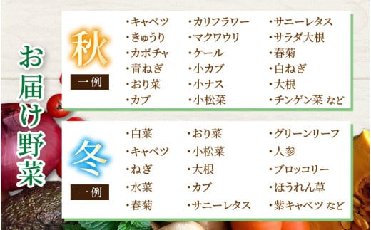 【6ヶ月連続お届け】農家直送 旬の野菜セット 7品目以上 1箱 ／ 定期便 6回 季節 野菜 ボックス BOX セット セレクト 農家 おまかせ 多品目 旬 詰め合わせ 根菜 葉物 [aw028-c002]