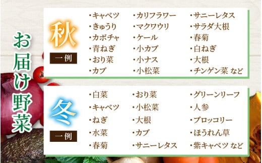 【12ヶ月連続お届け】農家直送 旬の野菜セット 7品目以上 1箱 / 定期便 12ヶ月 12回 [aw028-f001]