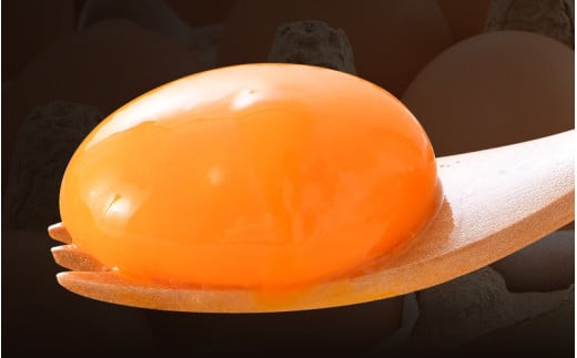 【6ヶ月連続お届け】 福井ブランド 「福地鶏」 の卵 50個 濃厚で甘くておいしい！ （25個入×2段） 定期便 ／ 卵 たまご 鶏卵 生卵 有精卵 高級 高級卵 福地鶏 鶏 平飼い 美味しい こだわり 6ヶ月 定期便 卵かけご飯 料理 あわら市 福井県産 [aw036-h002]