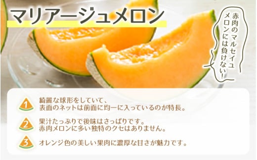 【先行予約】アムス・マリアージュメロン 2種（1.3kg以上2玉入）農園1番のおすすめ！ / 期間限定 果物 フルーツ 産地直送 青肉 赤肉 人気 ※2026年7月上旬より順次発送 [aw039-a003]