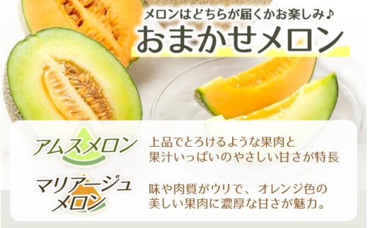 【先行予約】日を分けて2度楽しめる！小玉すいか・おすすめメロン 2種セット(2玉入)  / 期間限定 果物 フルーツ 産地直送 青肉 赤肉 スイカ 小玉スイカ 人気 ※2026年6月下旬より順次発送 [aw039-a004]