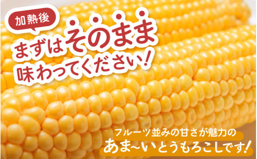 【先行予約】秋とうもろこし 黄色 白色 計5本 おおもの 朝採り ／ 期間限定 数量限定 ハウス栽培 産地直送 甘い ミックス スイートコーン 白い とうもろこし ホワイトコーン 野菜 あわら ※2026年10月10日より順次発送 [aw039-a014]