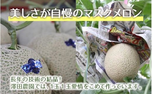 【先行予約】赤肉マスクメロン（1.5kg以上 1玉入）味も見た目も抜群！アールスメロン  / 期間限定 果物 フルーツ 産地直送 赤肉 人気 ギフト 贈答 ※2026年7月上旬より順次発送 [aw039-a016]