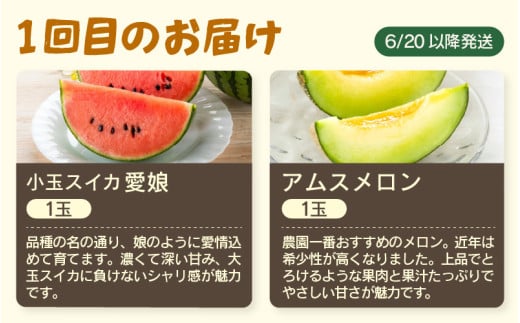 【先行予約】≪定期便/全3回≫フルーツ王国あわらのこだわり5品 農家直送 厳選品／ 期間限定 果物 フルーツ 青肉メロン 赤肉メロン 西瓜 とうもろこし 産地直送 ※2026年6月中旬より順次発送 [aw039-c001]