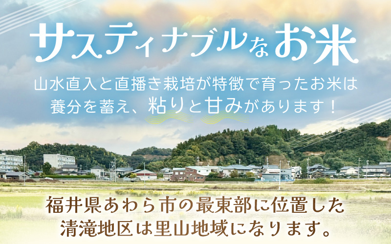 【先行予約】【令和8年産 新米】ワルツ農場の直播き コシヒカリ 玄米 5kg / お米 ご飯 つや 艶 甘味 旨み あわら市産 福井県産 慣行栽培 コメ 北陸 福井県 あわら市 ※2026年10月下旬以降発送予定 [aw046-a006]