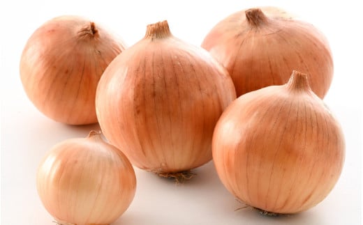 【先行予約】玉ねぎ 5kg（サイズ S M L ミックス）田んぼで育てた甘くて柔らか自慢の玉ねぎ！／ 野菜 万能 料理 常備 玉葱 BBQ たまねぎ 玉ネギ サラダ スープ ※2026年7月上旬より順次発送予定 [aw056-a021]