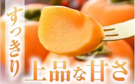 【先行予約】越前柿 16個入 約2.5kg（M～2L）≪JA受賞歴親子２代≫ ／ 果物 フルーツ 柿 産地直送 期間限定 ※2026年11月上旬より順次発送 [aw061-a003]