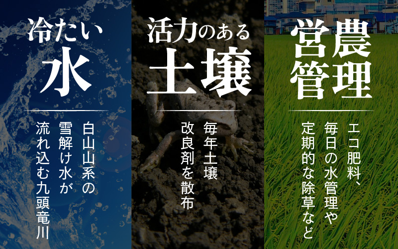 【先行予約】【令和8年産 新米】《定期便3回》エコ栽培コシヒカリ 玄米10kg（5kg×2袋）計30kg ／ 鮮度抜群 福井県産 こしひかり ご飯 新鮮 玄米 ※2026年10月上旬以降順次発送 [aw063-f001]