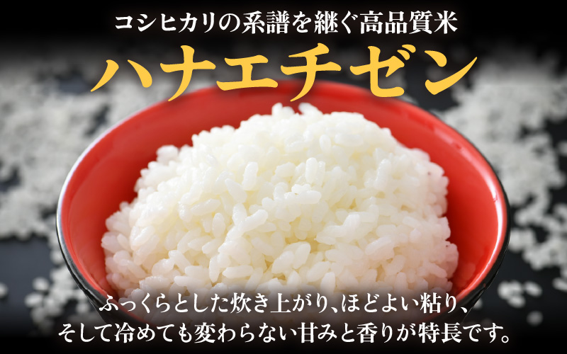 【先行予約】【令和8年産 新米】 定期便≪3ヶ月連続お届け≫エコ栽培ハナエチゼン 精米 10kg×3回（計30kg） ／ 鮮度抜群 福井県産 はなえちぜん ご飯 新鮮 白米 ※2026年9月上旬以降順次発送予定 [aw063-f002]