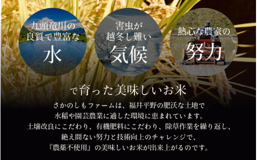 【先行予約】【令和8年産 新米】定期便《12ヶ月連続お届け》コシヒカリ 精米 5kg （計60kg）特別栽培米 農薬不使用 化学肥料不使用 ／残留農薬ゼロ 高品質 鮮度抜群 福井県産 ブランド米 白米 ※2026年10月上旬以降順次発送 [aw063-o005]