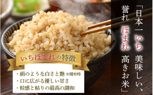 【令和7年産・新米】いちほまれ 玄米 5kg×1袋《新鮮な高品質米をお届け！》／ 福井県産 ブランド米 ご飯 [aw064-a014]