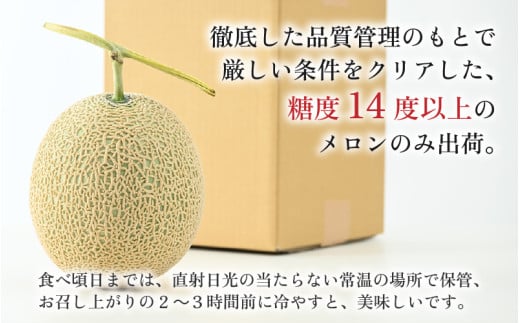 【先行予約】【赤肉】秋 アールスメロン 1玉（約1.6kg以上） 高級メロン！ ／ マスクメロン 大玉 果物 フルーツ 夏 ギフト 農家直送 ※2026年9月中旬以降発送 [aw065-a010]