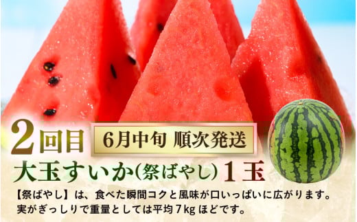 【先行予約】《定期便全5回》フルーツ大満足定期便 ／ すいか マスクメロン 高級メロン 大玉 果物 フルーツ 夏 ギフト 農家直送 ※2026年6月上旬以降発送  [aw065-d001]