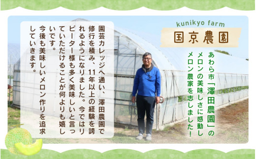  【先行予約】マルセイユメロン 2玉入 4L（1.3kg以上×2玉）高糖度で抜群に美味しい赤肉メロン ／ 果物 フルーツ 産地直送 ※2026年6月上旬以降発送 [aw067-a005]