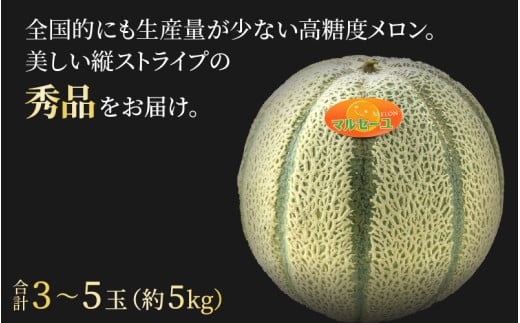 【先行予約】佐藤農園のマルセイユメロン 約5kg 秀品（3～5玉入）深みのある甘さ とろける濃厚な赤肉！農家直送 有機肥料 低農薬 ※2026年6月発送上旬より順次発送予定 [aw069-a003]