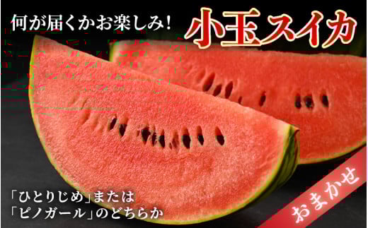 【先行予約】佐藤農園の小玉スイカ・マルセイユメロン セット 計2玉（約2.5kg～3kg） 秀品 農家直送 有機肥料 低農薬 ※2026年6月上旬より順次発送 [aw069-a004]