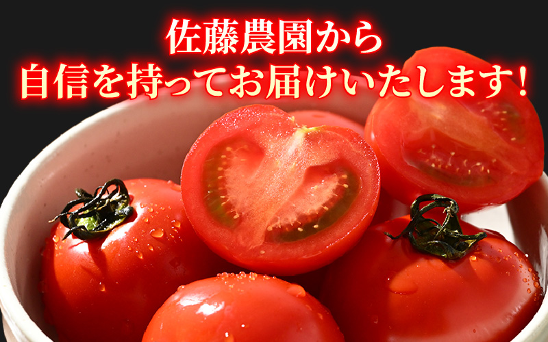 【先行予約】ミディトマト 越のルビー 約2kg 10パック（8パック＋品質補償2パック）／ 福井県産 ブランド トマト 福井県産ブランドトマト 農家直送 有機肥料 低農薬 完熟 甘い ※2026年9月下旬より順次発送 [aw069-a005]