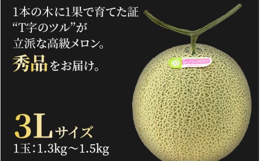 【先行予約】レノンメロン 3L 2玉入 約2.6～3kg《秀品》コク深い甘さ・香りいっぱいのメロン！農家直送 有機肥料 低農薬 赤肉 マスクメロン 高級メロン ※2026年6月中旬より順次発送 [aw069-a006]