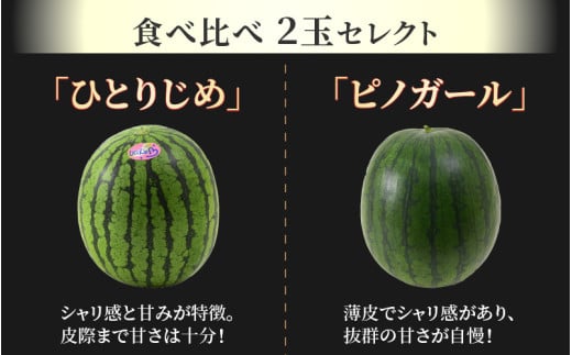 【先行予約】抜群の甘さ！佐藤農園の小玉スイカ 食べ比べセット 2玉（計3kg以上）／ 秀品 農家直送 有機肥料 低農薬 ※2026年6月上旬より順次発送予定 [aw069-a007]