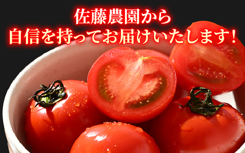 【先行予約】ミディトマト 越のルビー パック入り 約1kg 5パック（4パック＋品質補償1パック） / 福井県産 ブランド トマト 福井県産ブランドトマト 農家直送 有機肥料 低農薬 完熟 甘い ※2026年9月下旬より順次発送 [aw069-a009]