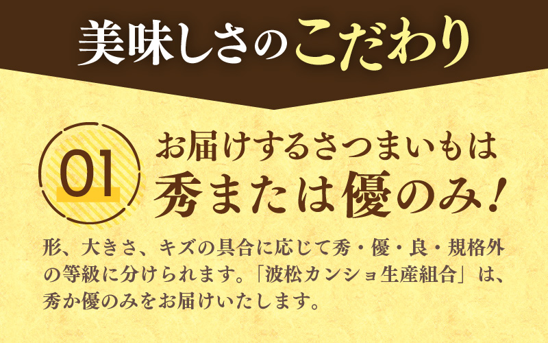 あわら市波松産 紅はるか 3kg / 厳選 不揃い さつまいも 土付き 熟成 焼き芋 福井県 薩摩芋 密芋 スイートポテト しっとり ほっくり 自然のスイーツ 極甘 農研機構許諾済 メディアで人気 腸活 [aw084-a001]