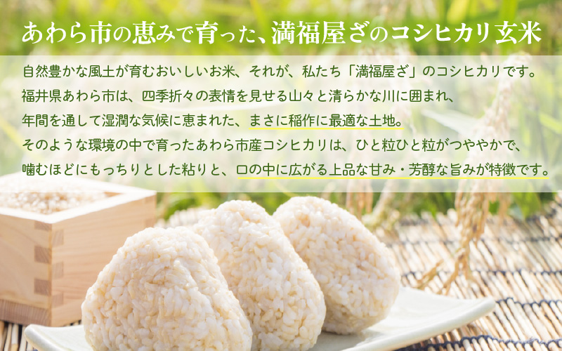 【先行予約】【令和8年産】コシヒカリ 玄米 20kg / 米 こしひかり コシヒカリ 福井県 一等米 玄米 あわら市 福井県 コスパ ※2026年9月下旬より順次発送予定 [aw096-d003]