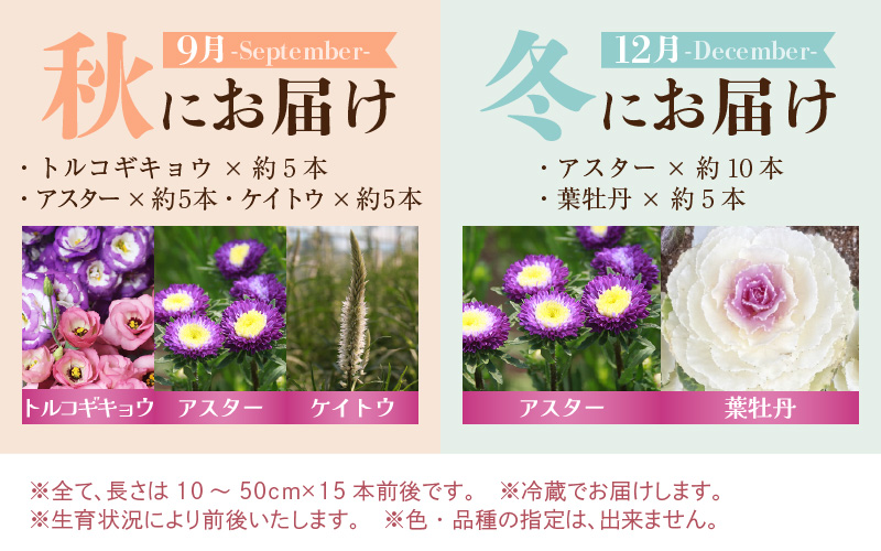 【定期便4回】花農家直送 新鮮な切花【春 夏 秋 冬】 / 生花 お花 旬の花束 豊かな生活 花のある生活 15本程度 2種 季節 年4回 [aw099-d001]