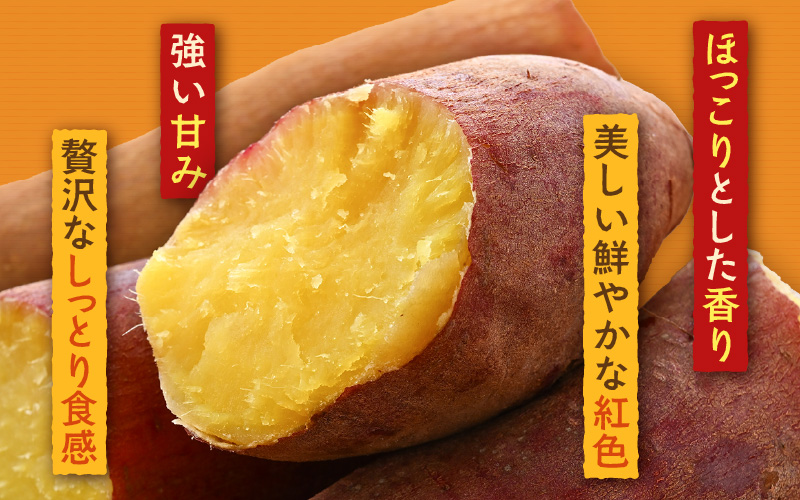 さつまいも 富紅娘（ふくむすめ）S~2Lサイズ 5kg / 紅はるか べにはるか さつま芋 国産 芋 産地直送 熟成 サツマイモ [aw108-a001]