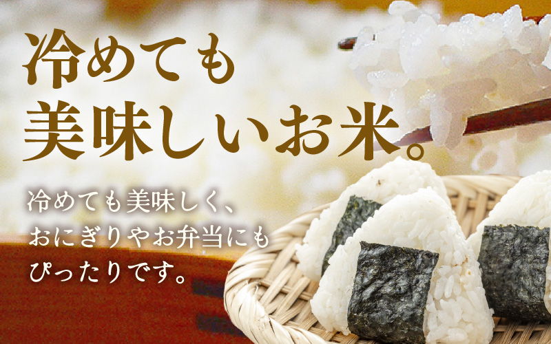 定期便 ≪3ヶ月連続お届け≫ 令和7年産 あきさかり 無洗米 10kg×3回（計30kg） ／ 米 10キロ 福井県産 ブランド米 あきさかり ご飯 白米 新鮮 高品質米 [aw121-g002]