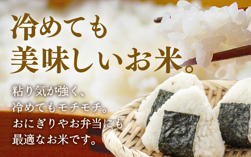 定期便 ≪6ヶ月連続お届け≫ 令和7年産 特別栽培米 コシヒカリ 精米 5kg×6回（計30kg） [aw121-i001]