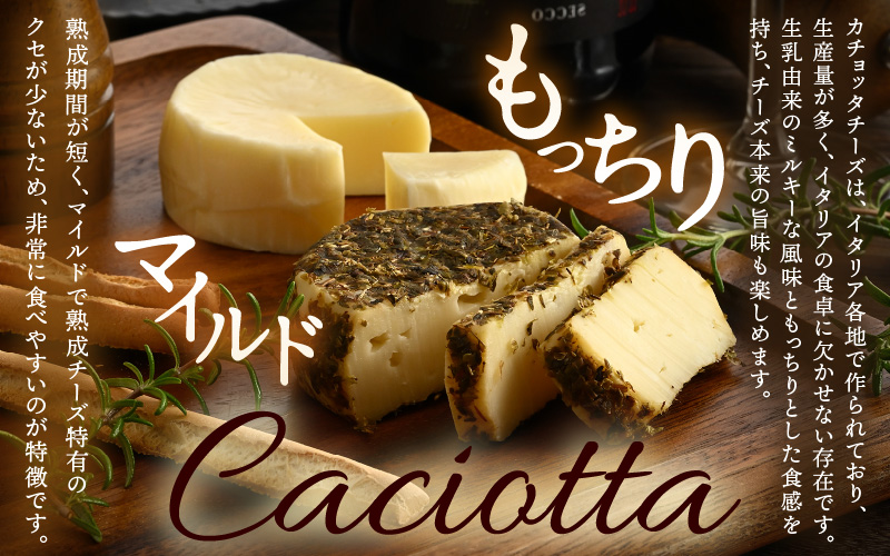 100％県産生乳！イタリア出身の職人が作るカチョッタチーズ2種（プレーン、オレガノ） [aw128-a001]