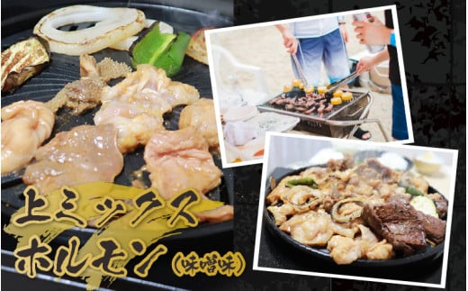 越前ホルモン屋 味噌漬け 人気ホルモンセット（計1kg）約8～10人前 ／ 味付け肉 豚肉 牛肉 小分け タレ漬け 焼肉 バーベキュー 冷凍 人気 キャンプ飯 BBQ 焼くだけ 時短調理 [aw001-a011]