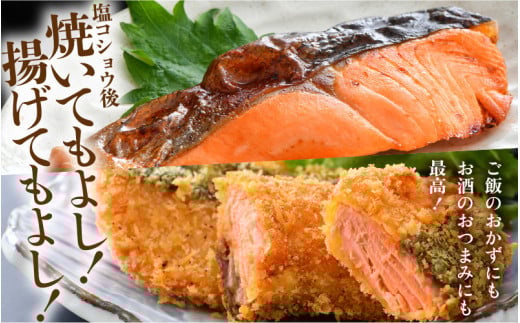 ふくいサーモン 切り身 100g×6切 計600g ＜鮮度抜群！アレンジ自在！真空冷凍＞ ／ 生食OK 刺身 焼き魚 鮭 国産 [aw002-b003]